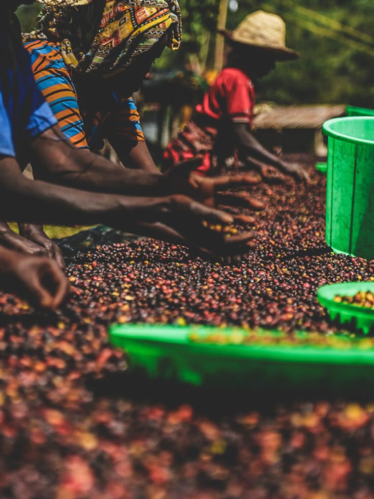 Manyete Coffee Village